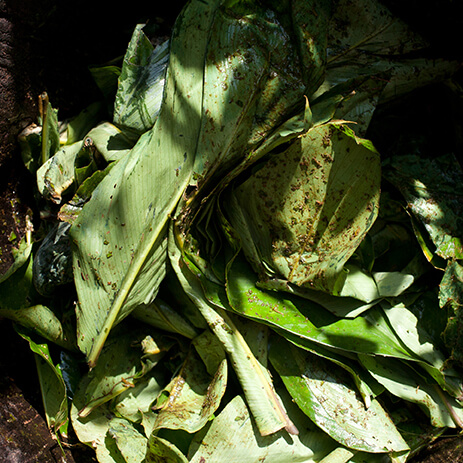 BURE 3_mosaico galeria.jpg